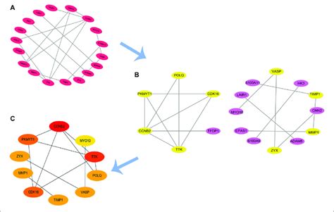 PPI Network Of Upregulated DEGs And Hub Genes A B PPI Network Of