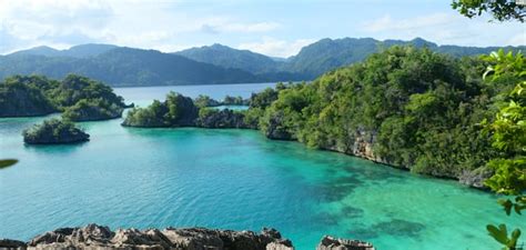 10 New Birds Discovered On Lost Island Off Indonesias Eastern Coast