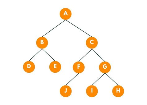 Find Lowest Common Ancestor Lcs In A Binary Tree