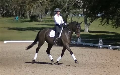 Usef Dressage Tests Preview