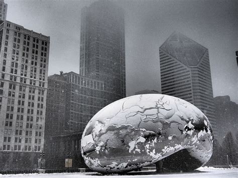 F O FABFORGOTTENNOBILITY Fabforgottennobility The Bean In Snow By