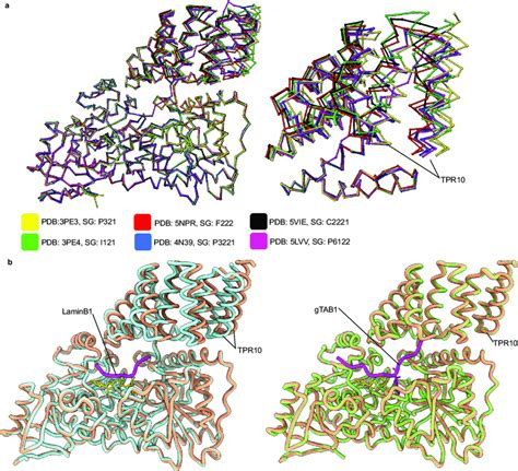 Crystal Packing Changes The Conformation Adopted By Tpr A