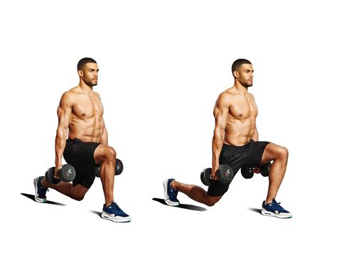 10 Best Dumbbell Quad Exercises Strengthening The Quadriceps Is… By