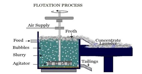 Froth Flotation - Assignment Point