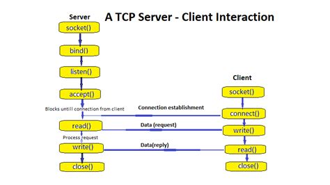 Computer Science Programmes Tcp Server Client Implementation In C