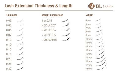 Eyelash Extension Supplies 101 Your Complete Guide — Bl Lashes Lash Extensions Eyelash