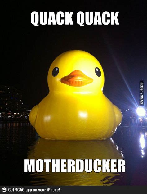 900+ Rubber Ducky ideas in 2021 | rubber ducky, ducky, rubber duck