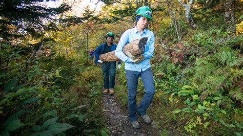 Decoding The Appalachian Trail Volunteer Edition Appalachian Trail