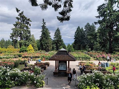 Top 3 Things to Do at Washington Park Portland