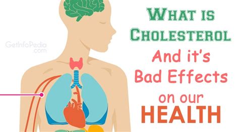 What is Cholesterol? And it’s Bad Effects on our Health