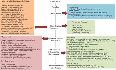 The Steps Involved In The Extraction Separation Isolation And