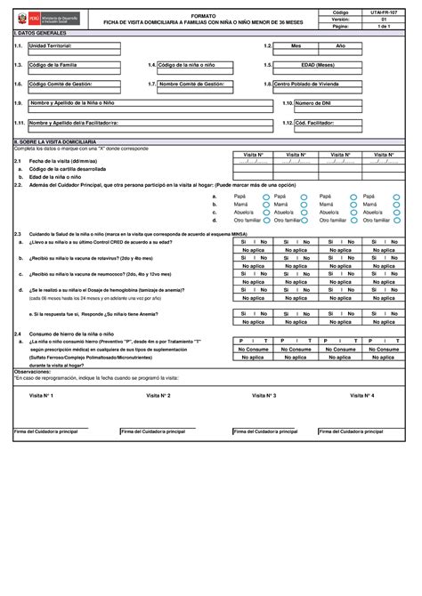 Anexo N Ficha De Visita Domiciliaria A Familias Con Ni A O C Digo
