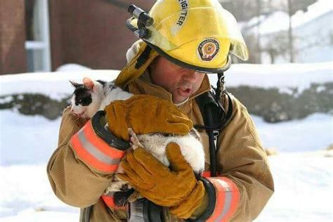 Heroes Of The Real Life With Images Cat Rescue Firefighter Saving Cat