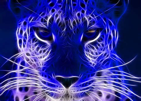 4k Animal Neon Wallpapers - Wallpaper Cave