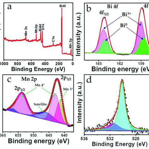 X Ray Photoelectron Spectroscopy Xps Analysis A Full Scan Spectrum Download Scientific