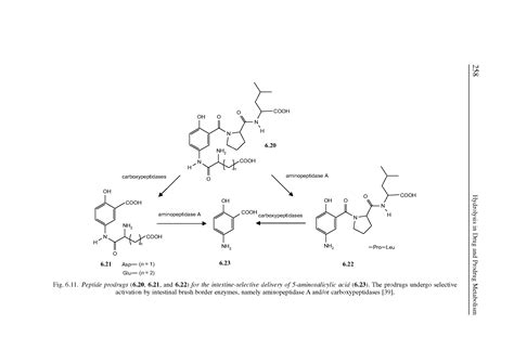 Brush-border enzyme - Big Chemical Encyclopedia