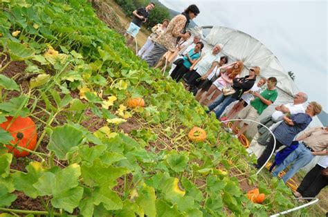 Grosmagny Animation Potager des jeunes pousses organisée par la