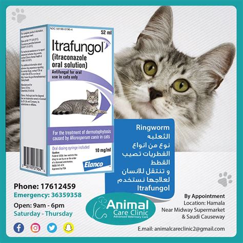 Itrafungol Itraconazole Oral Solution For Cats 10 Mgml 52 Ml