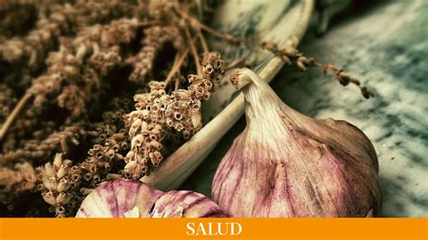 Las Propiedades Del Ajo Beneficios Para Tu Salud