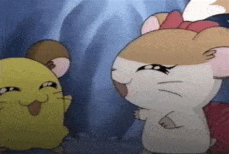 Hamtaro Penelope Hamtaro Penelope Barrette Discover Share GIFs