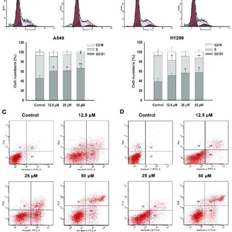 Induction Of G 0 G 1 Arrest And Apoptosis By FX In A549 And H1299