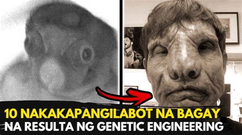 10 NAKAKAPANGILABOT NA BAGAY NA RESULTA NG GENETIC ENGINEERING