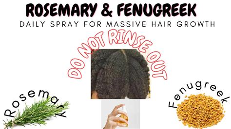 Rosemary Fenugreek Diy Spray For Extreme Hair Growth How To Grow