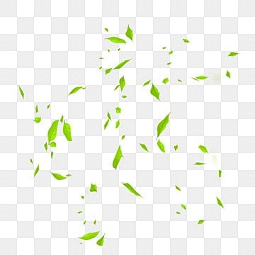 Green Floating Leaves PNG Picture Green Floating Leaves Leaves