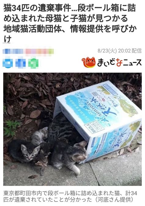 【過去最大級猫34匹】”猫の遺棄事件町田市内” サクラ＆toshi