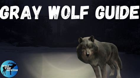 Medved Taiga Gray Wolf Guide TheHunter Call Of The Wild 2023 YouTube