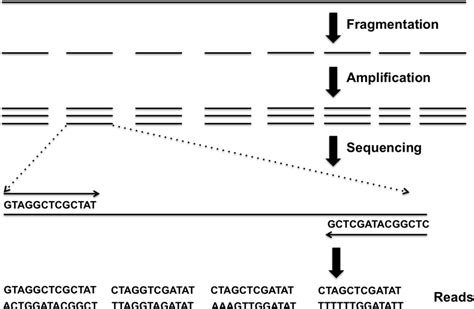 Figure 1 From Identification Of Common Carp Immune Genes With Whole