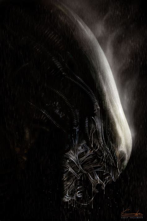 45 best Alien Xenomorph images on Pinterest | Xenomorph, Alien alien ...