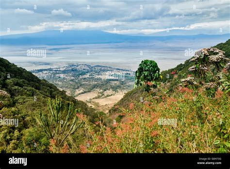 View From The Rim Into The Ngorongoro Crater Ngorongoro Conservation