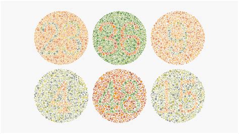 The Different Types Of Color Blindness | Yesglasses