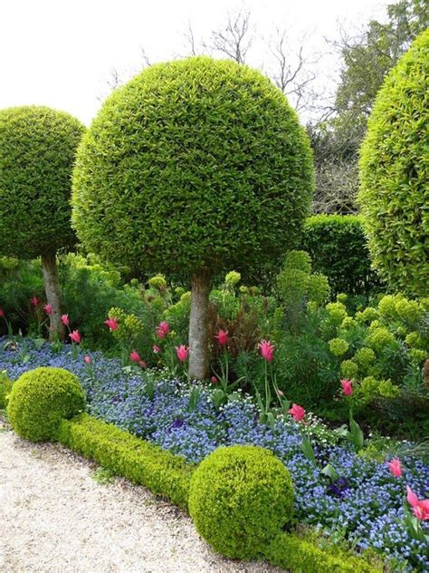 Recopilación de jardines Belleza en estado puro Jardines Arboles