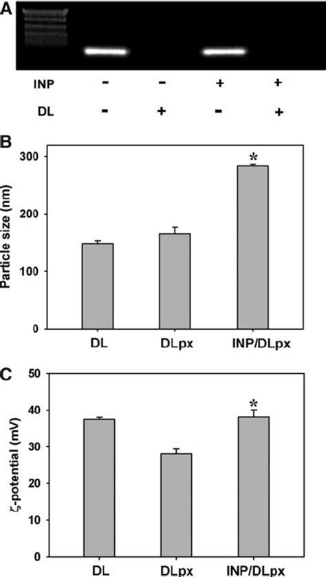 Characterization Of INP DLpx Naked SiRNA DLpx N P Ratio 14 10 1