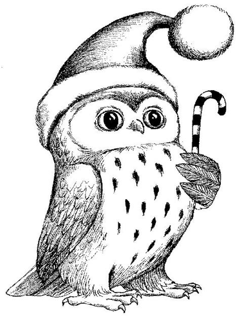 Free Printable Owl Christmas Coloring Pages Ryan Fritz S Coloring Pages