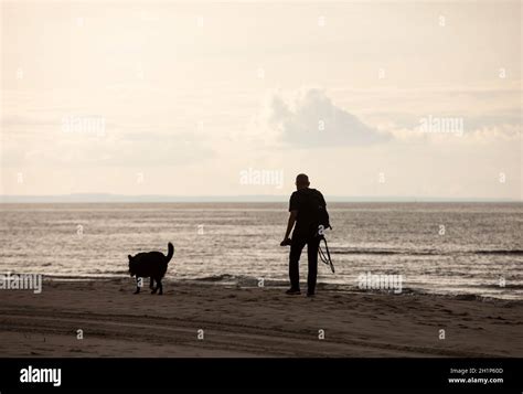 Man Walking His Dog Along The Beach Stock Photo Alamy