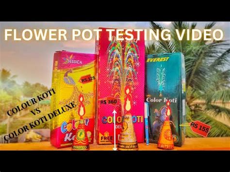 Flower Pots Ashoka Testing Kannan Cracker Koti Deluxe Colour Koti