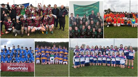 All of Friday's Laois GAA results and Feile update - Laois Today