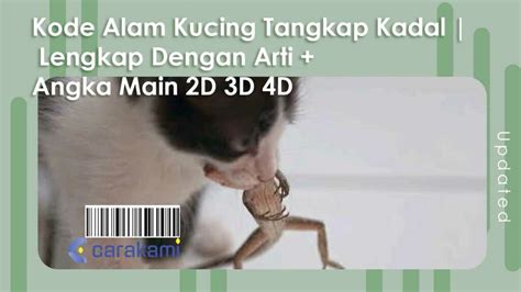 17 Kode Alam Kucing Tangkap Kadal Lengkap Dengan Arti Angka Main