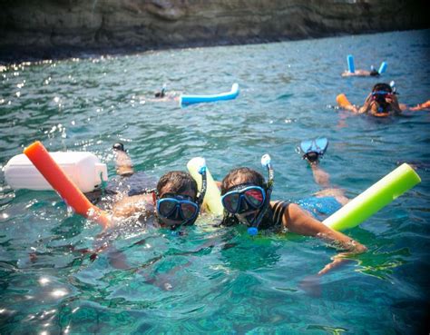 South Maui Molokini Crater And Turtle Town Snorkeling Trip Getyourguide