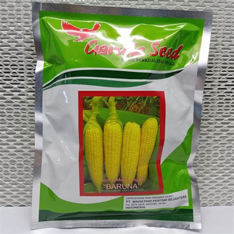 Jual BISA COD BENIH BIBIT JAGUNG MANIS UNGGUL BARUNA KEMASAN 250