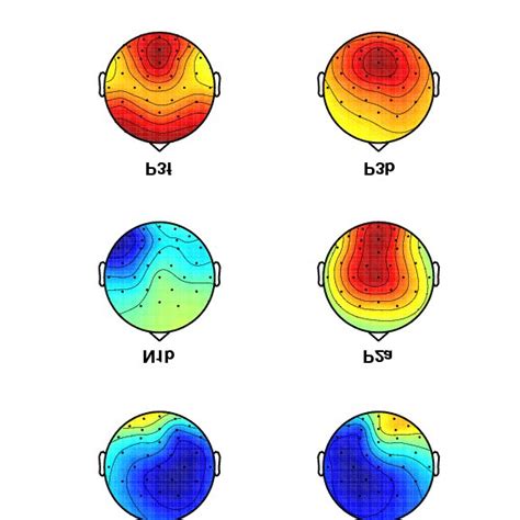 B Scalp Maps Of The Largest Six Independent Components Individually