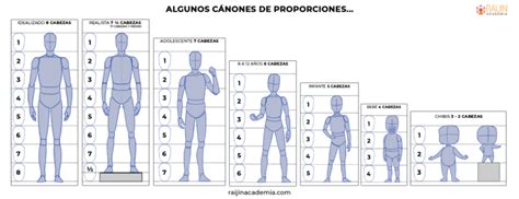 Cuánto Mide Una Cabeza Humana】