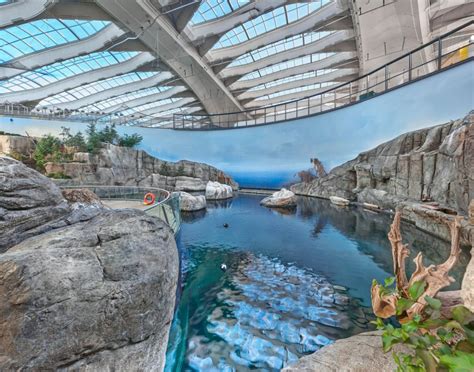 Here's what the newly-renovated Biodôme looks like (PHOTOS) | Lifestyle