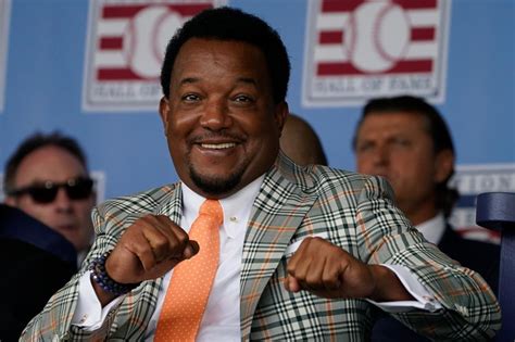 Pedro Martinez New York Yankees Are Like Chihuahua