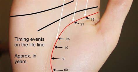 Timing on Life Line Guide Palmistry - Destiny Palmistry