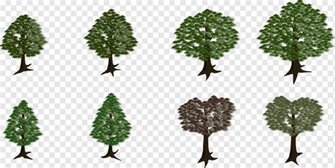 Rbol Bosque Naturaleza Png Pngwing