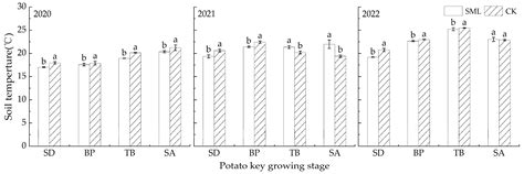 Water Free Full Text Effects Of Partial Straw Mulching On Potato